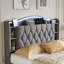 Upholstered Velvet Bed-370658420-370658423