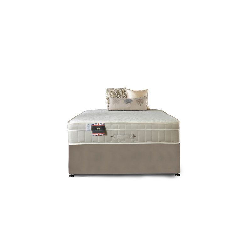 Arkin Upholstered Bed with Mattress, 2 Drawers, Silver Plush Velvet, Single (3')