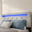 Base de lit tapissier avec rangement à 4 tiroirs et éclairage DEL-288820904