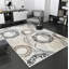Tapis modernes pour le salon-1326791482