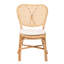 Chaise de salle à manger moderne en bohème moderne avec finition brun naturel
