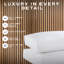Luxurious Hotel Snuggledown Side Sleeper Firm Support Cotton Cover 2 Pillow