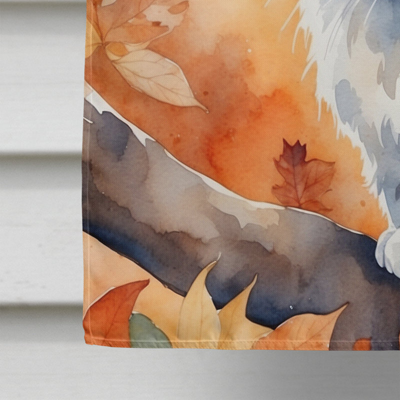 Chat en feuilles d'automne, Australian Mist