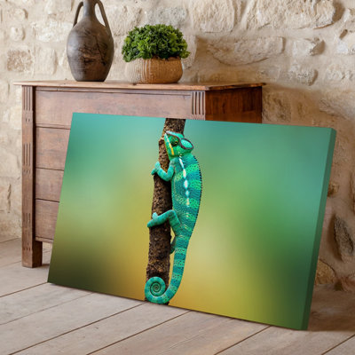 Canvas A Vibrant Chameleon Perched On A Textured Curved Branch Showcasing Wall Art Its Striking Turquoise And Green Scales With Canvas Wall Art