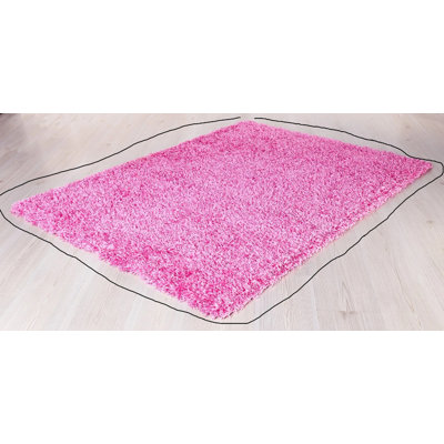 Shaggy Area Rug