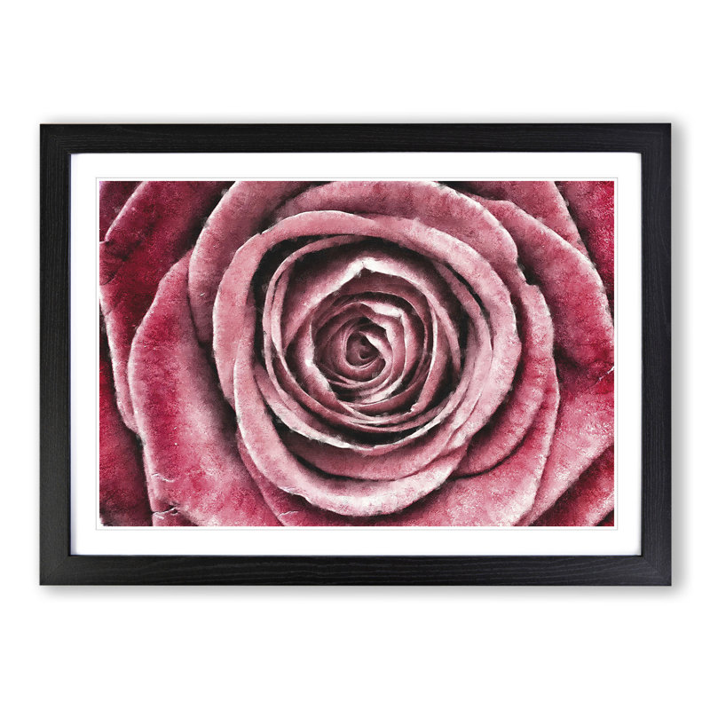 Pink Rose Flower Vol.2 - Framed Print, 36cm H x 48cm W x 2cm D, Black Framed