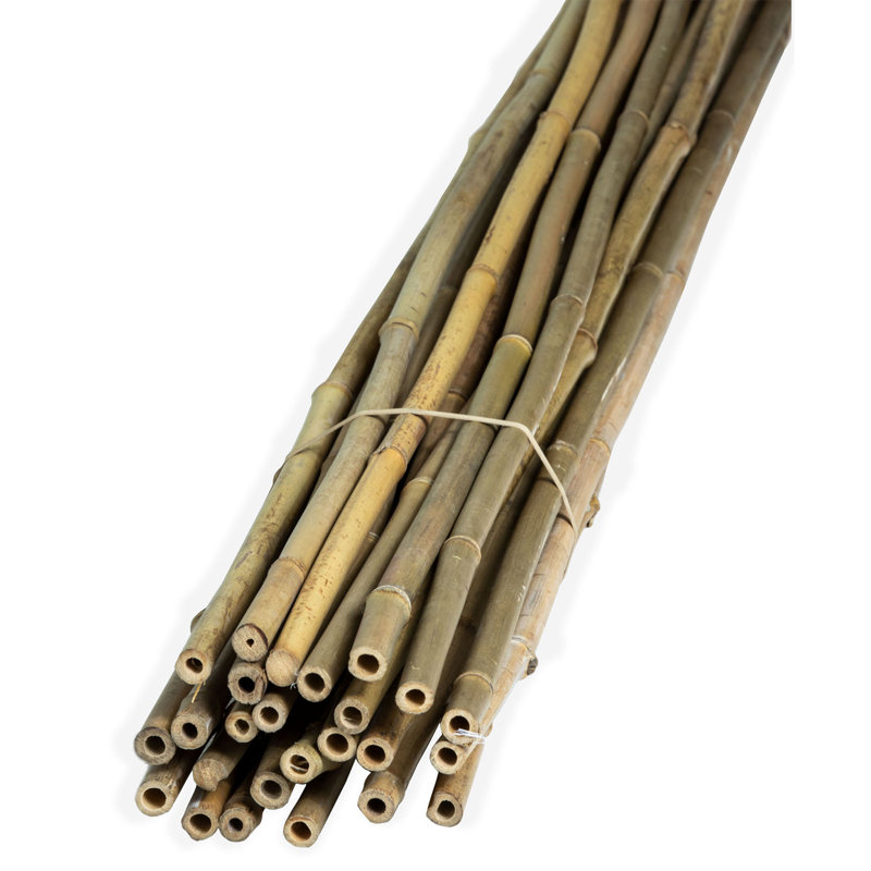 Piquet de jardin en treillis naturel, H 48 po x l 0,62 po x P 0,62 po