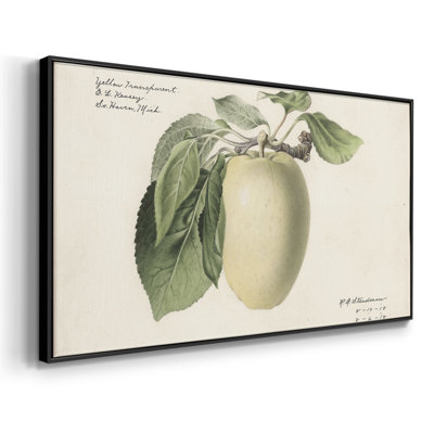 Botanical Series-CDXLIX- Toile tendue avec châssis tendue, prête à être accrochée