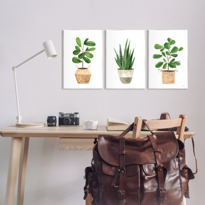 «Minimal Pots Plants Botanicals» par Rachel Nieman - ensemble de 3 impressions