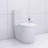 Elongated One Piece Toilet White