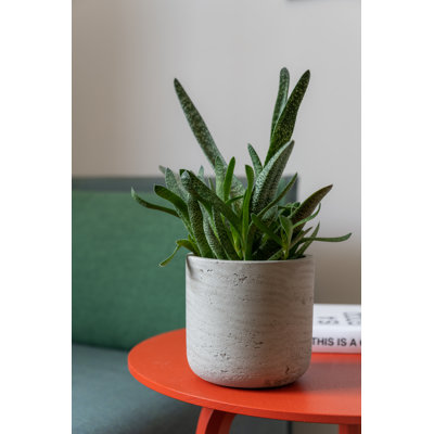 Outdoor Textured Fiberstone Pot