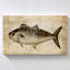 "Big Catch II" par Conrad Knutsen, reproduction sur toile-634975335