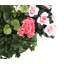 Anneri Arrangement in Basket