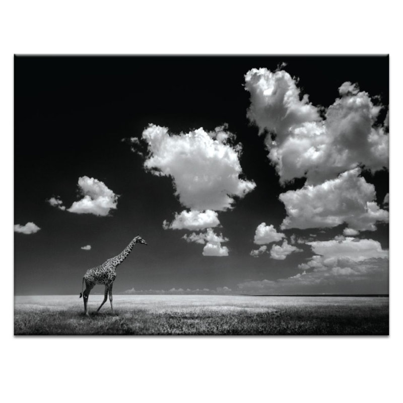 Photographers Lane - Wrapped Canvas Print, 51cm H x 41cm W