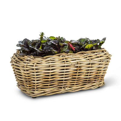 Pot à fleurs en plastique Carruthers