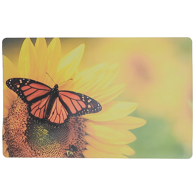 Napperon en plastique 12 x 18 - Ensemble de 12