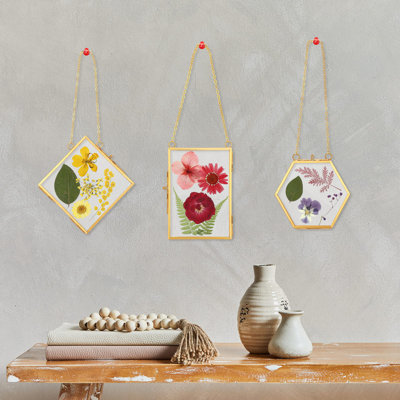 5 cadres en verre pour fleurs à presser bricolage, cadre photo suspendu en laiton avec chaîne et 6 styles de fleurs pressées, cadres en verre pour la décoration murale