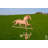 36'' H Metal Animals Weathervane-29330050
