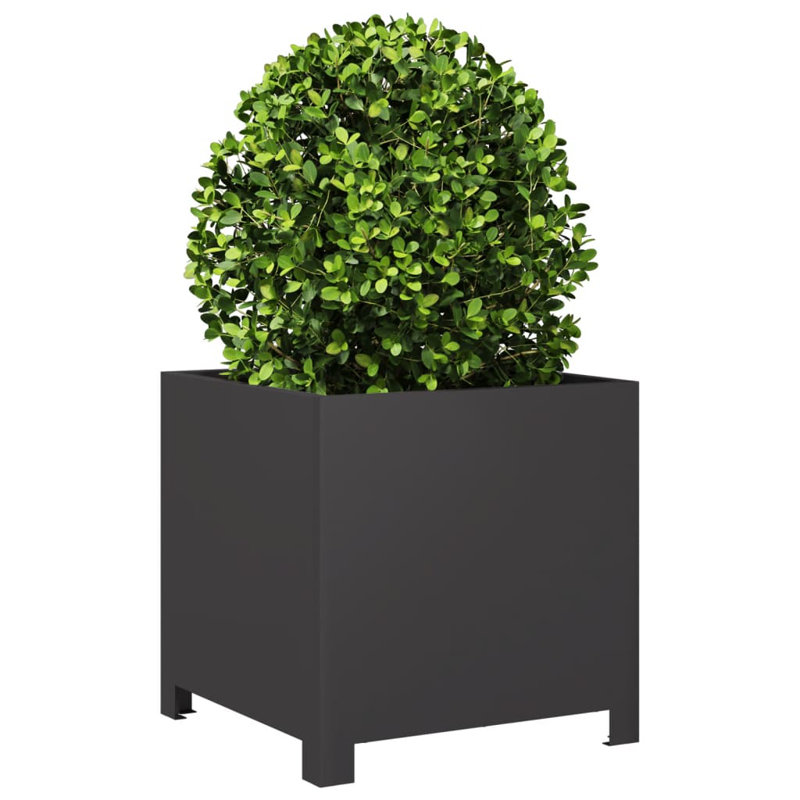 Ashvini Planter Box, Black, 15.75" H x 15.75" W x 15.75" D