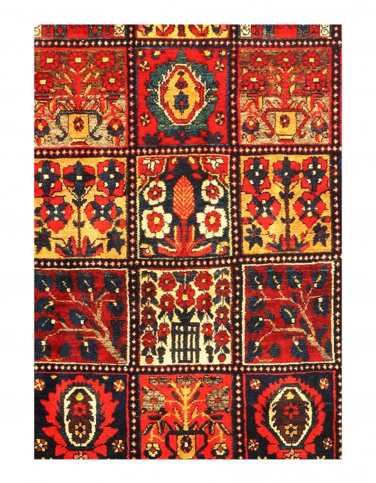 Hanan Hand Knotted Area Rug in Red