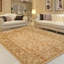 Luckyland Wool Oriental Area Rug in Beige-142659173