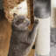 120cm H Cat Tree-560903361