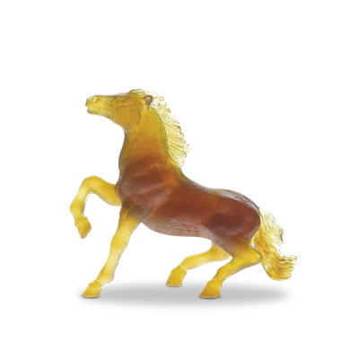Brown Wild Horse by Jean-François Leroy