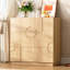 2 - Door Rectangle Accent Cabinet-295778900
