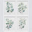«Green Leaves Plants», impression sur papier 4 pièces-97782557-97782558