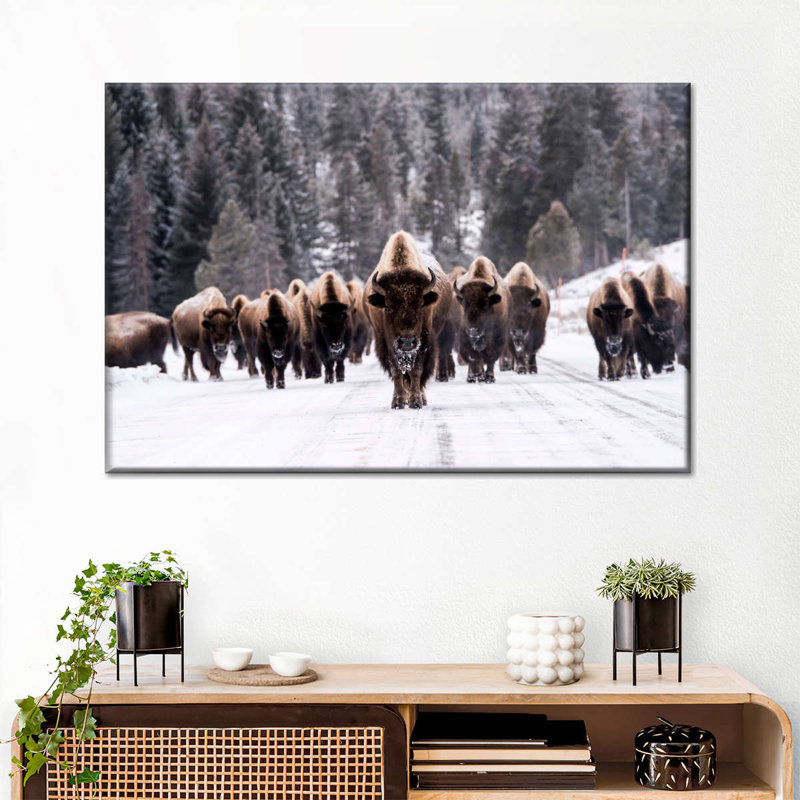 Bison Herd in Winter - reproduction d'art sur toile tendue, H 24 po x l 36 po x P 1,25 po