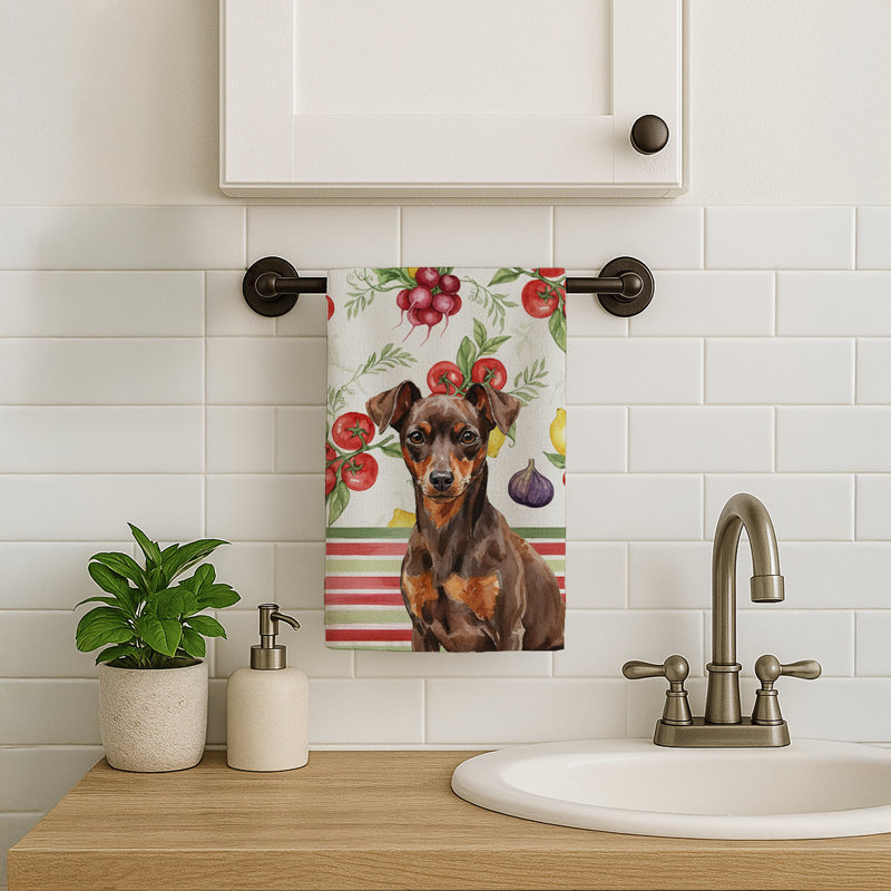 Torchon miniature chocolat et rouille, Chocolate/Rust Miniature Pinscher Min Pin