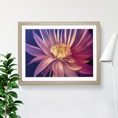 Serene Chrysanthemum Flower - Framed Print