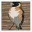  Tapis lavable commun Bulbul Birds-879969120