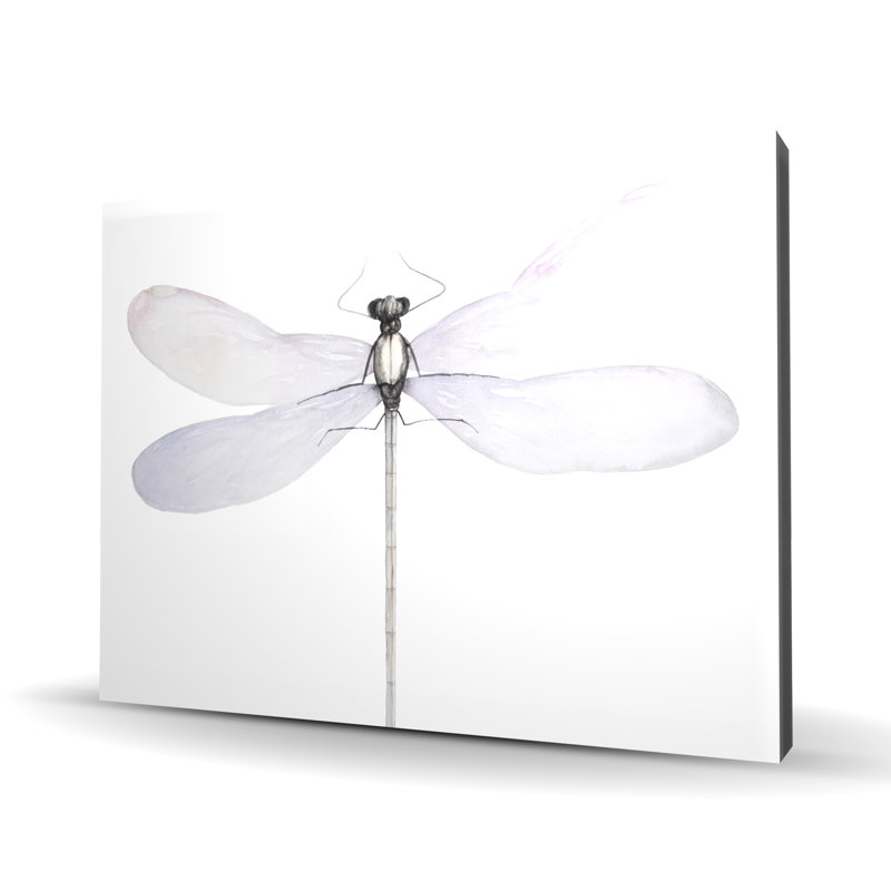 Toile délicate libellule | Insecte, décoration intérieure
