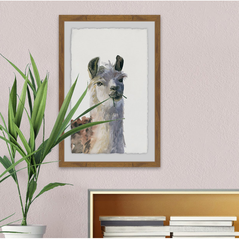 Chewing Llama - Single Picture Frame Painting, 61 cm H x 41 cm W