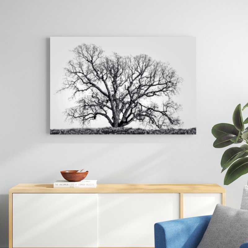 Grand Oak Tree I par Rachel Perry - Photographie sur toile tendue, H 32 po x l 48 po x P 1,25 po
