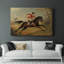 Animaux, paysage, série CC-2058728306