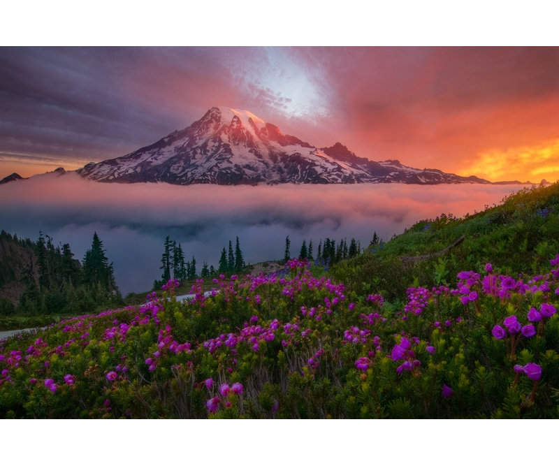 Wrapped Canvas Print, 121.92 cm H x 81.28 cm W