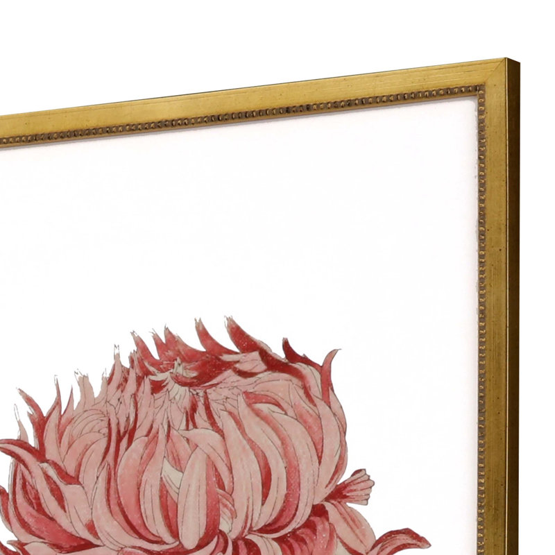 Chrysanthème S / 4