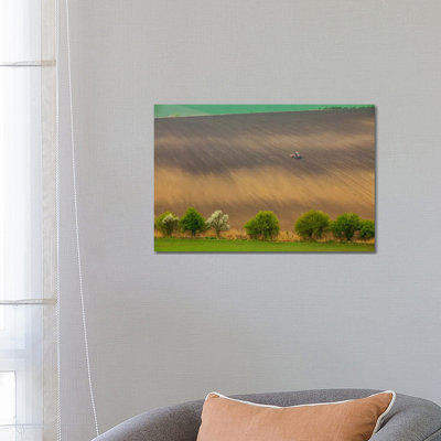 Czech Republic, Moravia, Rapeseed Field I by Mikolaj Gospodarek - Wrapped Canvas Print