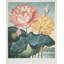 «The Sacred Egyptian Bean» par Robert John Thornton - Art mural sur toile tendue avec châssis-1097818126