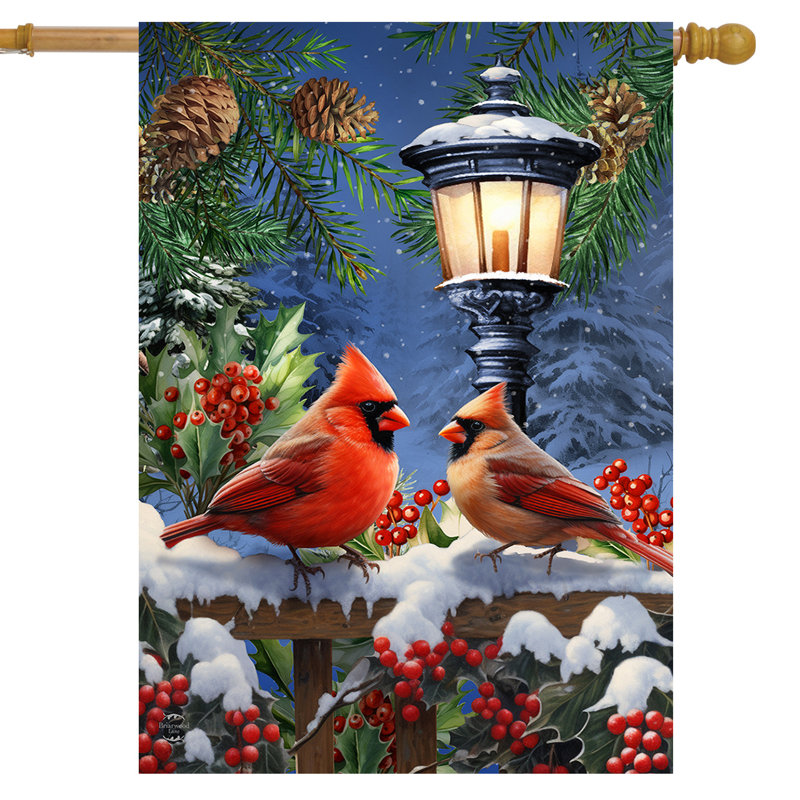 Drapeau de la maison Winter Cardinals
