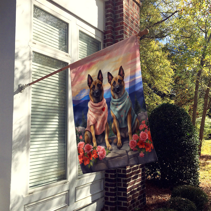 Double Sided 40'' H x 28'' W Polyester Valentine's Day House Flag