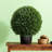Boule de cèdre vert artificiel Vickerman-73243751