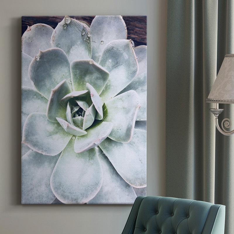 Pastel Succulent Beauty IV - Photographie sur toile tendue, H 18 po x l 12 po x P 1,5 po