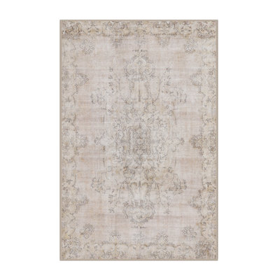 Oriental Indoor Rug