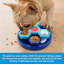 Jouets pour chiens