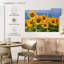 Harnek Honshu tournesols-107981716