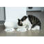 Ensemble de bols en porcelaine-113419244