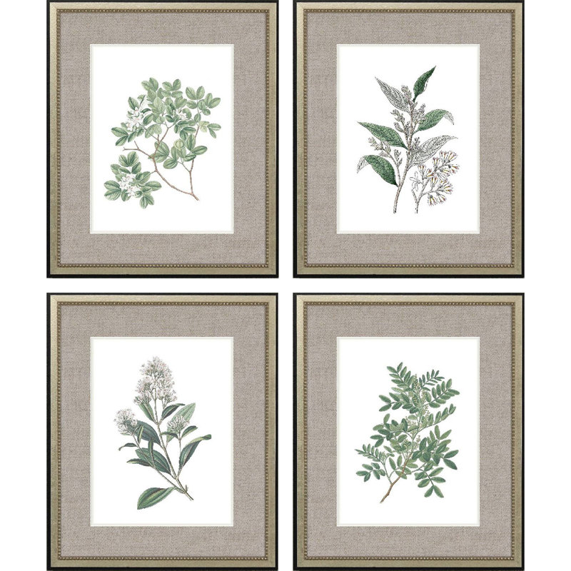 Fleurs blanches S / 4, impression encadrée sur papier 4 pièces